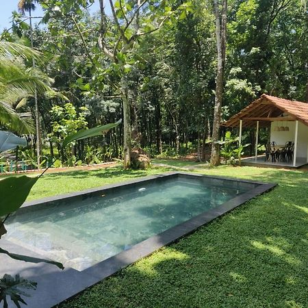 Pool Villa - The Humming Trees, Pala Lālam Eksteriør billede