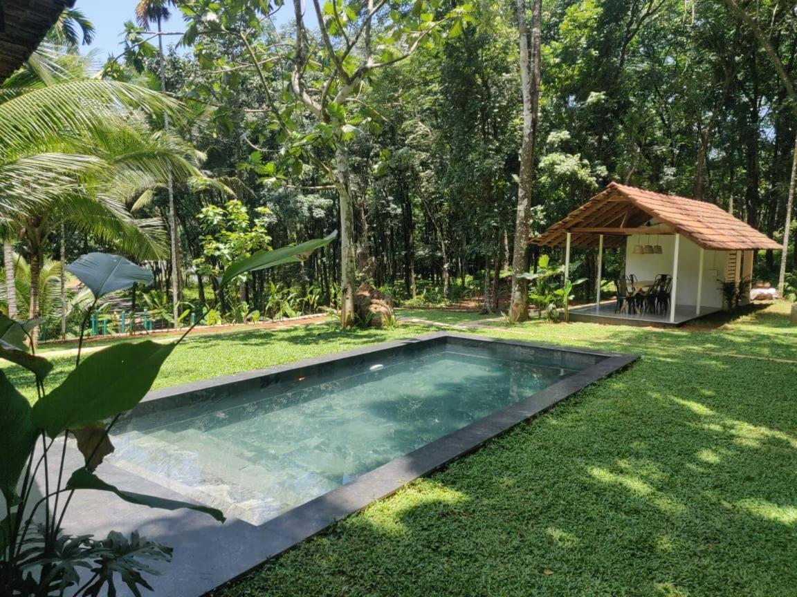 Pool Villa - The Humming Trees, Pala Lālam Eksteriør billede